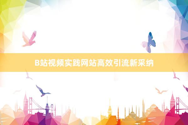 B站视频实践网站高效引流新采纳