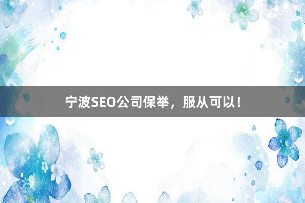 宁波SEO公司保举，服从可以！