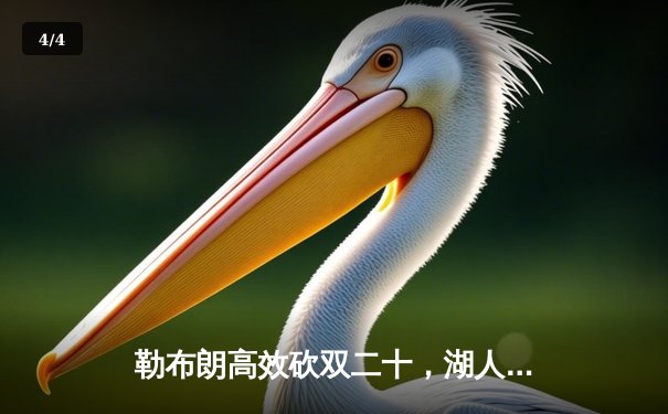 勒布朗高效砍双二十，湖人加时险胜勇士取关键卡位胜 - 4